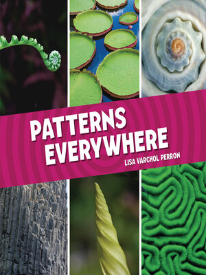 cover image of Patterns Everywhere